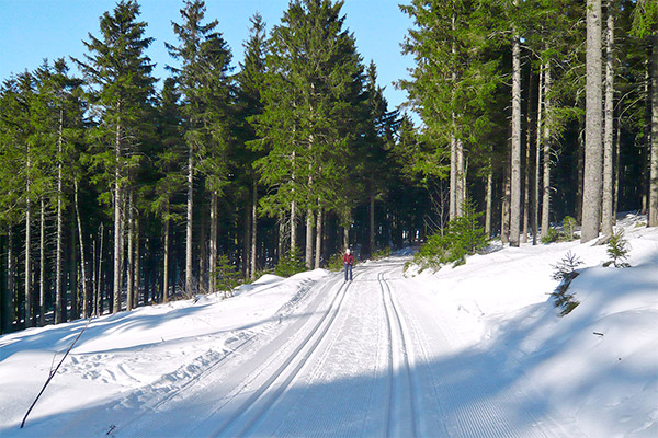 Auch auf gespurten Loipen können Sie im Winter die Schwarzwaldlandschaft entdecken