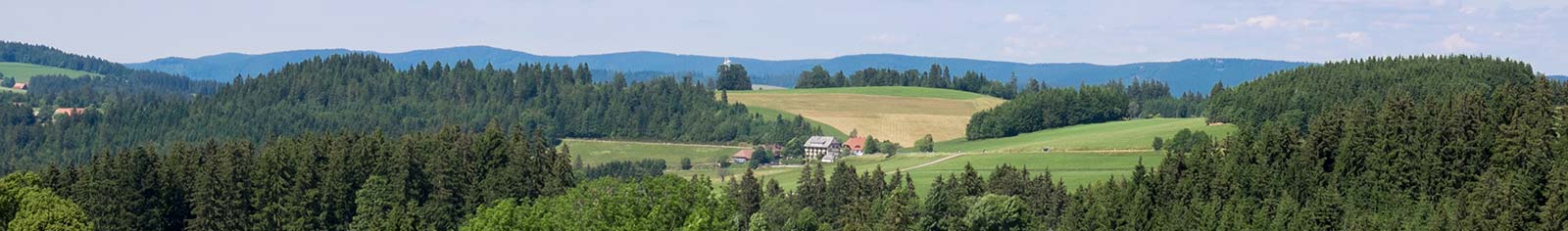 Hotel Restaurant Sonne Neuhäusle St. Märgen Schwarzwald